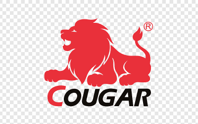 Giày Patin Cougar – Sự lựa chọn hoàn hảo tại Nha Trang